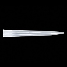 피펫팁(Axygen) 10ml(T-10ML-C) (100EA/PK*2)