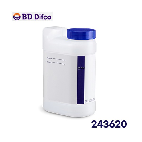 ぁぉさん専用 BACTO SOYTONE(243620) > BD | 조이랩 - SINCE 1992