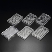 48well Cell Culture Plate(SPL) 이벤트2탄! (30048 ,31048 ,32048)