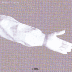 Apro® Clean Room Arm Cover, Polyester & Carbon, Length 355mm, 크린룸 방진/방전 토시